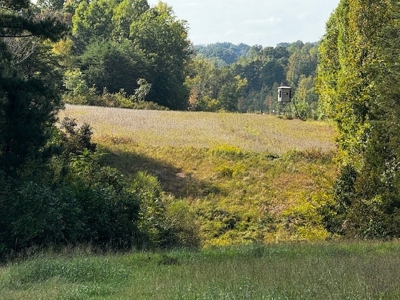 Off The Grid Retreat In Southern VA - image 41