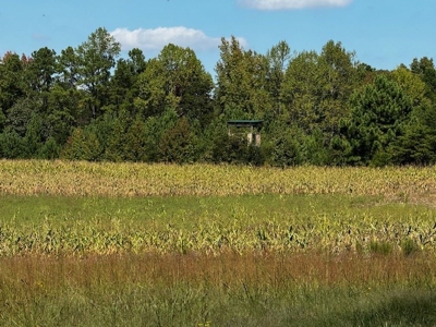 Off The Grid Retreat In Southern VA - image 13