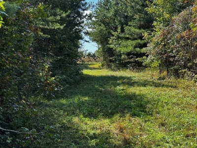 Off The Grid Retreat In Southern VA - image 31