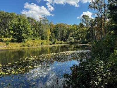 Off The Grid Retreat In Southern VA - image 6