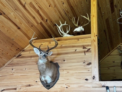 Off The Grid Retreat In Southern VA - image 24