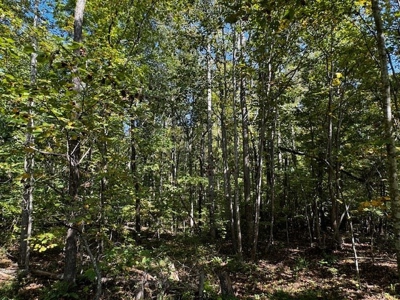 Off The Grid Retreat In Southern VA - image 32