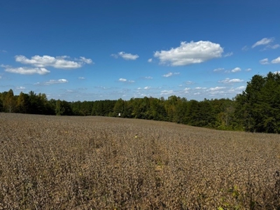 Off The Grid Retreat In Southern VA - image 5