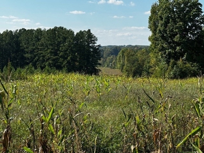 Off The Grid Retreat In Southern VA - image 40
