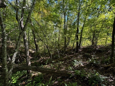 Off The Grid Retreat In Southern VA - image 36