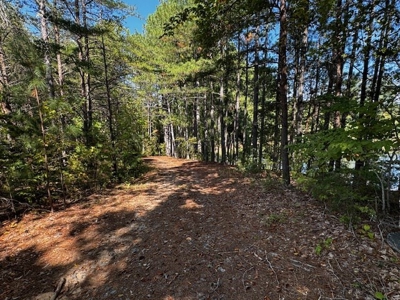 Off The Grid Retreat In Southern VA - image 9