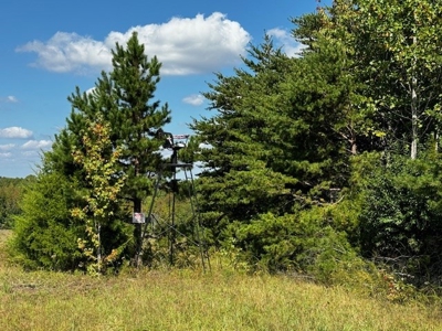 Off The Grid Retreat In Southern VA - image 4