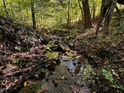 Off The Grid Retreat In Southern VA - image 38