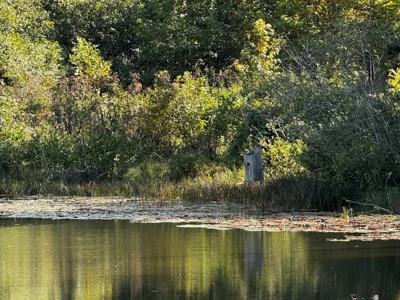 Off The Grid Retreat In Southern VA - image 7