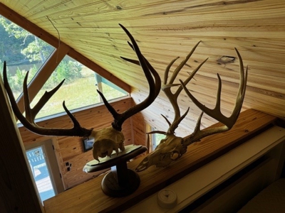 Off The Grid Retreat In Southern VA - image 26