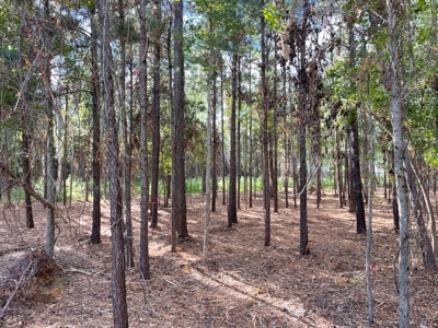 Waterfront Lot for Sale Beaufort, NC - image 35