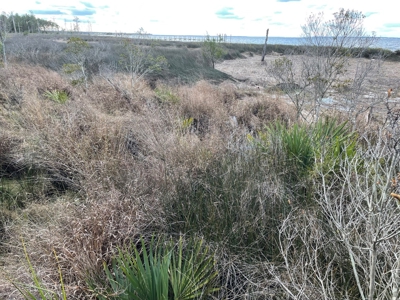 Waterfront Lot for Sale Beaufort, NC - image 22