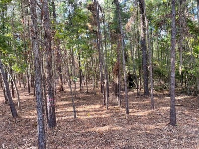 Waterfront Lot for Sale Beaufort, NC - image 37