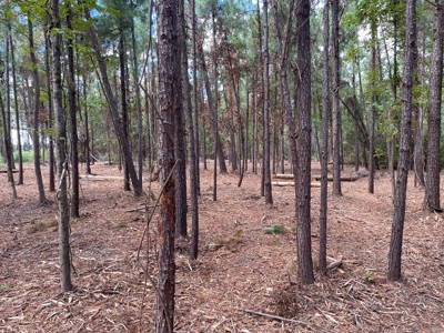 Waterfront Lot for Sale Beaufort, NC - image 10
