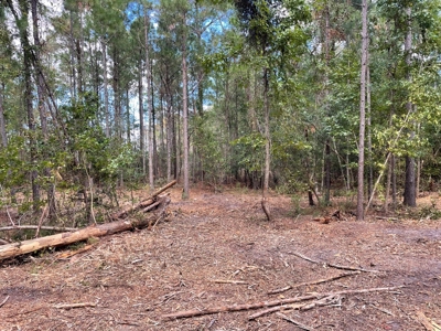 Waterfront Lot for Sale Beaufort, NC - image 18