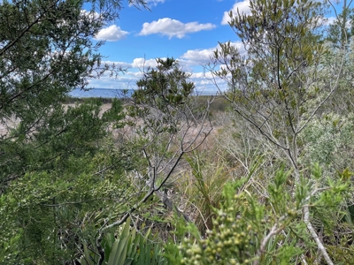 Waterfront Lot for Sale Beaufort, NC - image 21