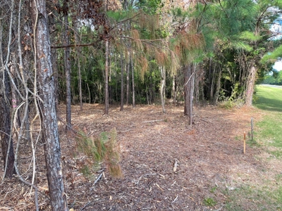 Waterfront Lot for Sale Beaufort, NC - image 11
