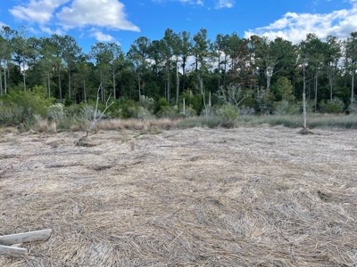 Waterfront Lot for Sale Beaufort, NC - image 25
