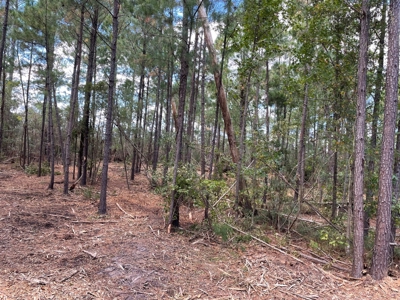Waterfront Lot for Sale Beaufort, NC - image 17
