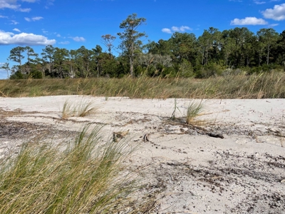 Waterfront Lot for Sale Beaufort, NC - image 34