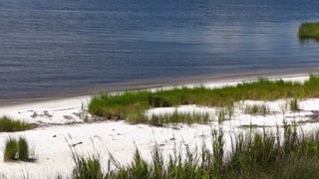 Waterfront Lot for Sale Beaufort, NC - image 47