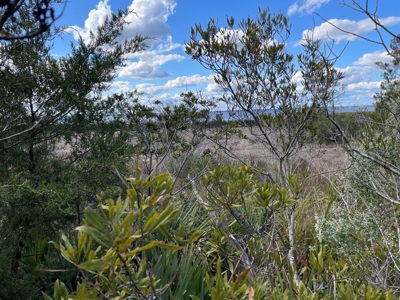Waterfront Lot for Sale Beaufort, NC - image 20