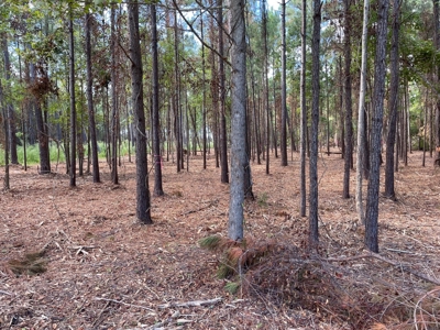 Waterfront Lot for Sale Beaufort, NC - image 13