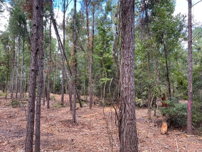 Waterfront Lot for Sale Beaufort, NC - image 9