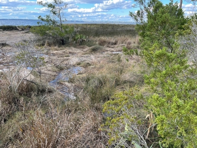 Waterfront Lot for Sale Beaufort, NC - image 24