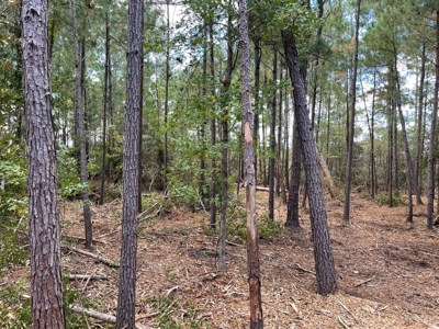 Waterfront Lot for Sale Beaufort, NC - image 16