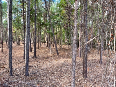 Waterfront Lot for Sale Beaufort, NC - image 12