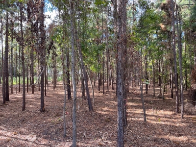 Waterfront Lot for Sale Beaufort, NC - image 36