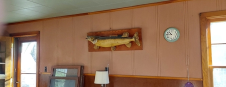 Island Lake Cabin for Sale in Northern Minnesota - image 12