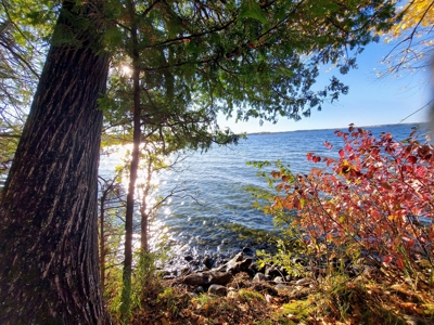 Island Lake Cabin for Sale in Northern Minnesota - image 9