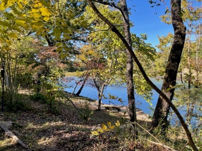 Cabin on the Spring River For Sale in Hardy AR - image 31