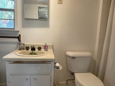 Cabin on the Spring River For Sale in Hardy AR - image 25