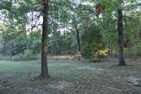 Home For Sale St. Clair County Missouri - image 17
