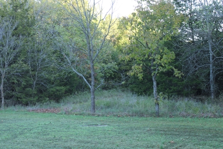Home For Sale St. Clair County Missouri - image 18