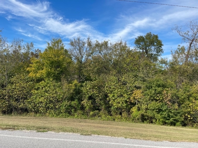 Versatile Land In Ash Flat, AR For Sale - image 8
