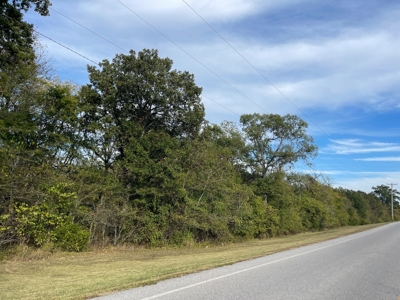 Versatile Land In Ash Flat, AR For Sale - image 7