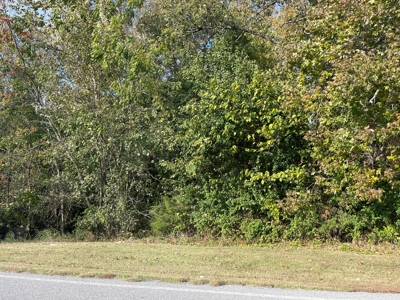 Versatile Land In Ash Flat, AR For Sale - image 11