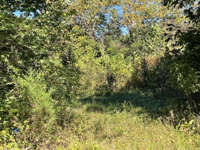 Versatile Land In Ash Flat, AR For Sale - image 3