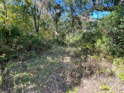 Versatile Land In Ash Flat, AR For Sale - image 4