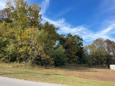 Versatile Land In Ash Flat, AR For Sale - image 12