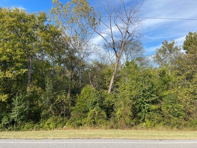 Versatile Land In Ash Flat, AR For Sale - image 10