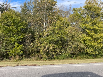 Versatile Land In Ash Flat, AR For Sale - image 9