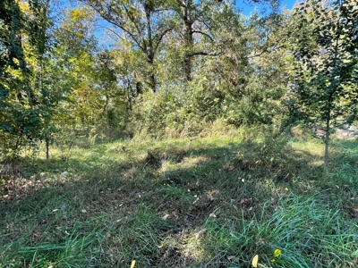 Versatile Land In Ash Flat, AR For Sale - image 5