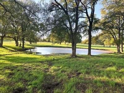 Experience Country Living at Its Finest - image 47