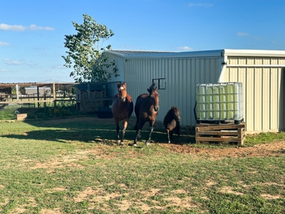 Experience Country Living at Its Finest - image 6