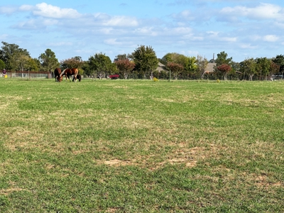 Experience Country Living at Its Finest - image 49